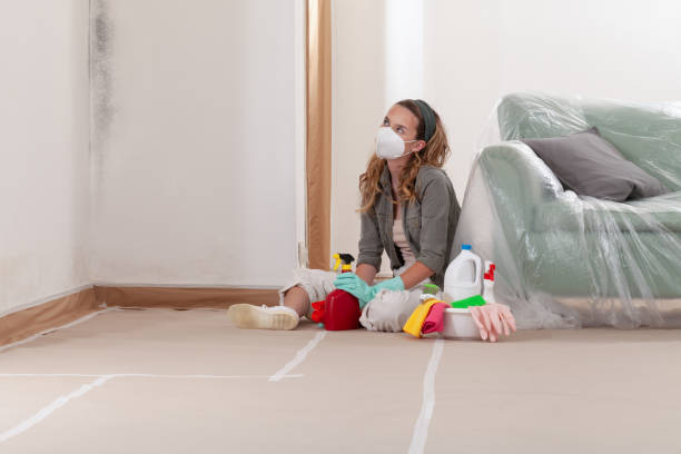 Trusted Black Mold Removal service in South River, NJ - WQB Mold Removal
